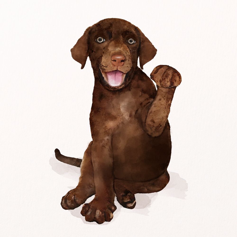 Dog watercolor illustration, Labrador Retriever puppy psd