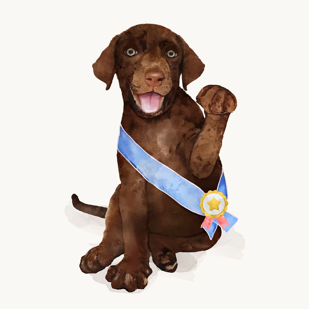 Watercolor dog with sash illustration, Labrador Retriever puppy vector
