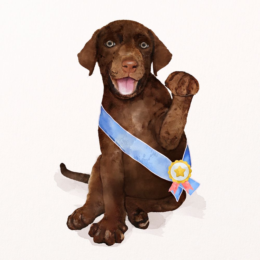 Winner dog watercolor illustration, Labrador Retriever puppy psd