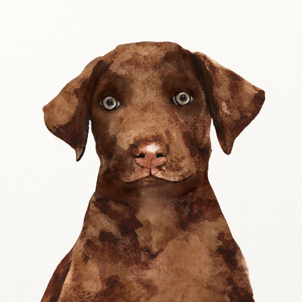 Dog watercolor illustration, cute Labrador Retriever puppy