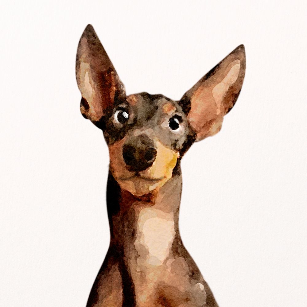 Miniature Pinscher dog watercolor illustration, pet design psd