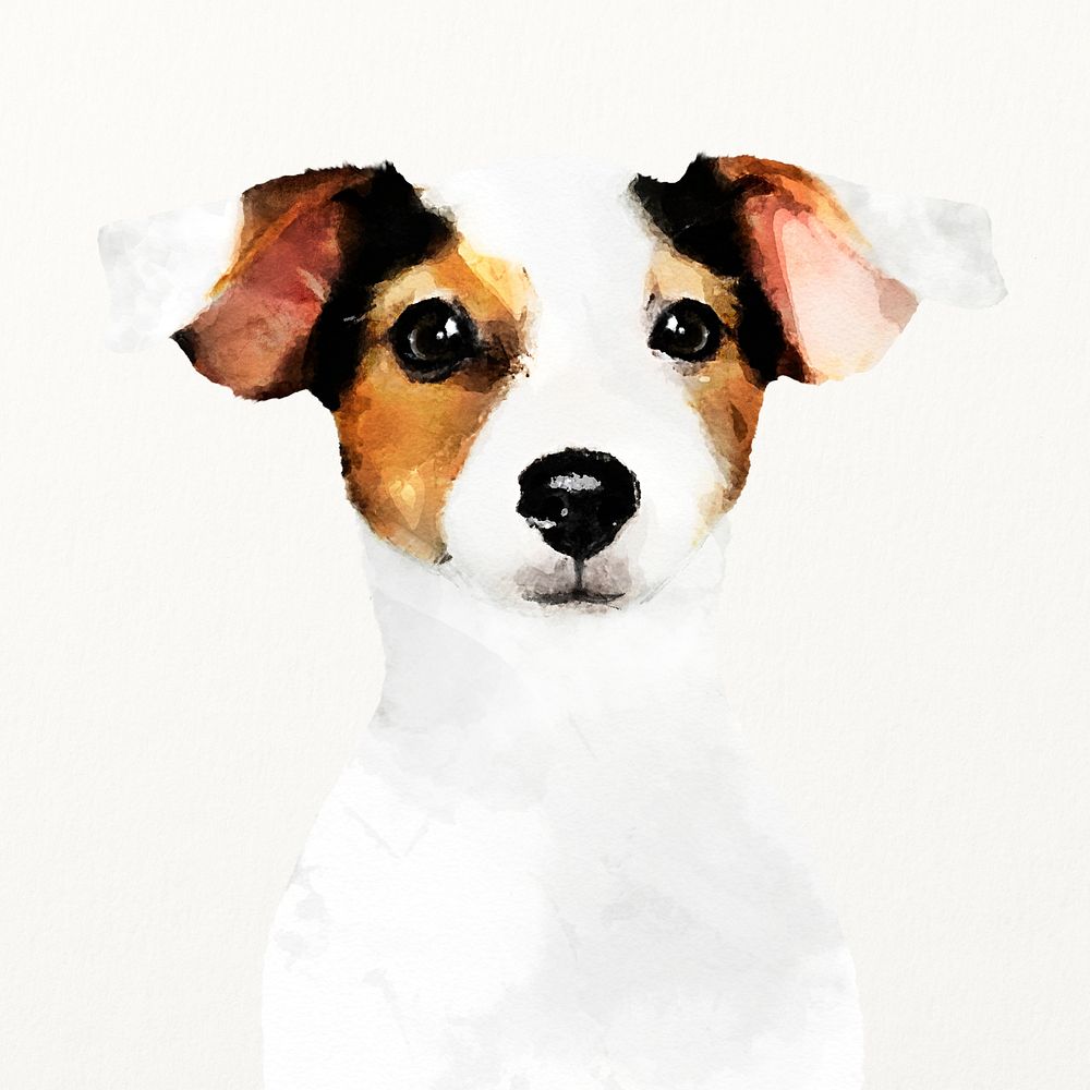 Russell Terrier dog watercolor illustration, cute animal design