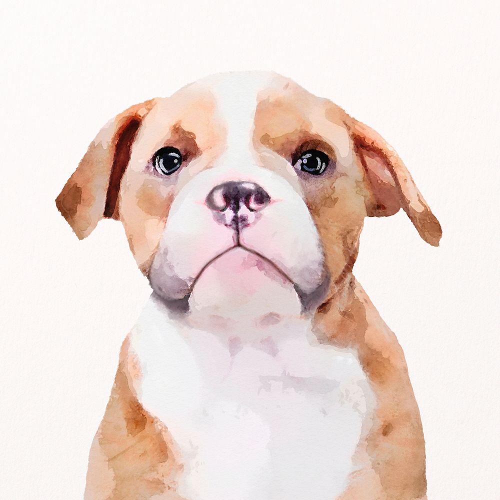Bulldog watercolor illustration, pet design psd