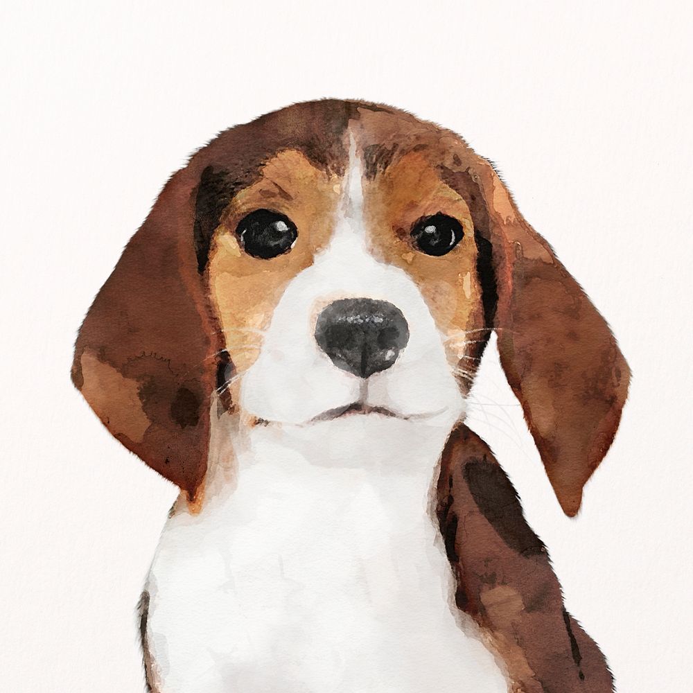 Beagle dog watercolor illustration, pet design psd