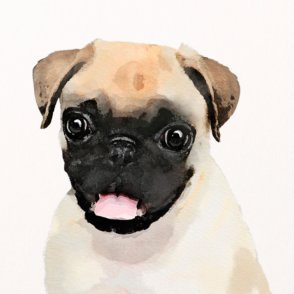 Pug dog watercolor illustration, pet design psd