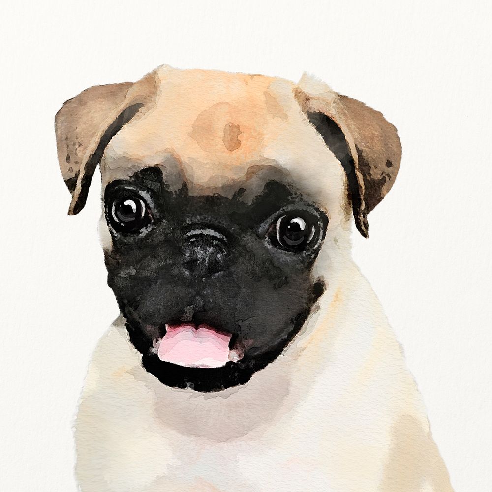 Pug dog watercolor illustration, cute animal design