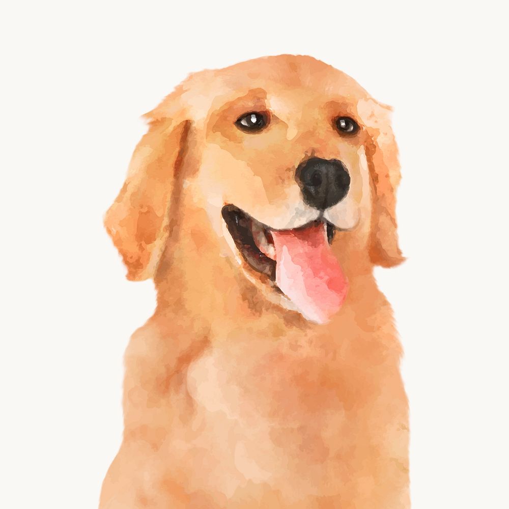 Golden Retriever dog illustration, watercolor animal design vector