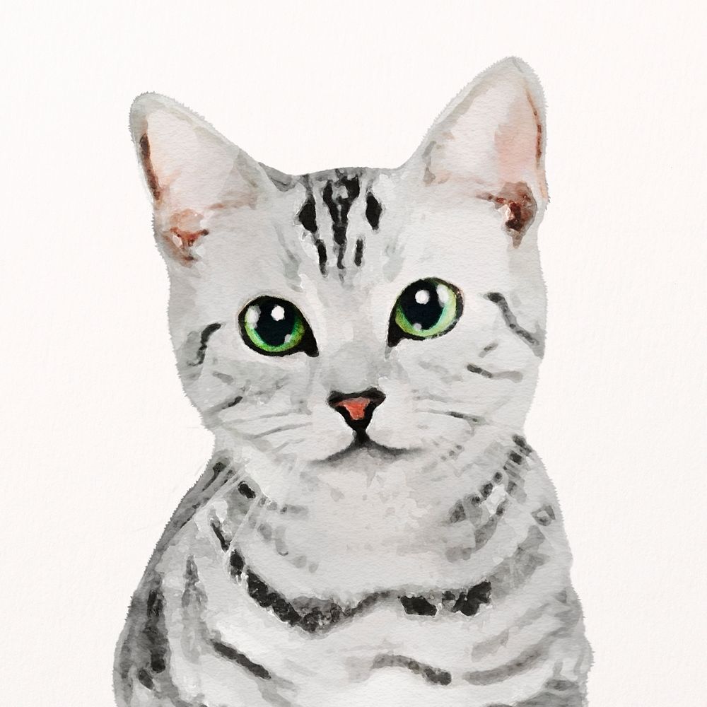 American shorthair cat watercolor illustration, pet design psd