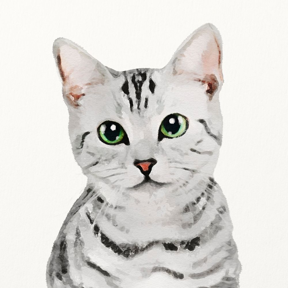 American shorthair cat watercolor illustration, cute animal design
