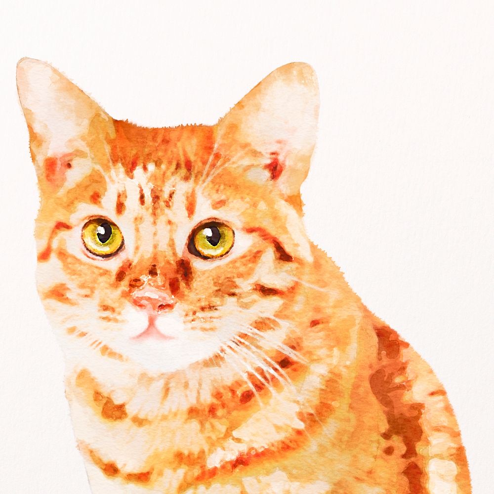 Ginger shorthair cat watercolor illustration, pet design psd