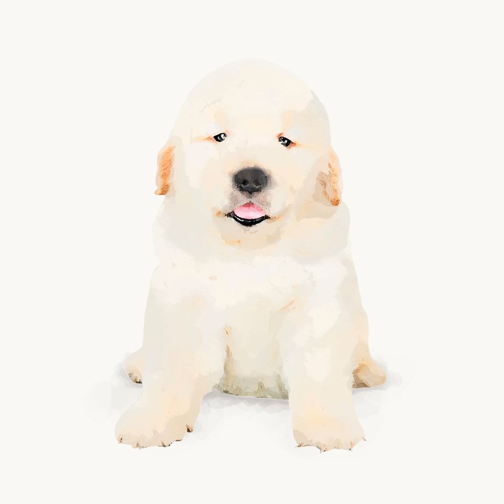 Watercolor Labrador Retriever puppy illustration, animal design vector