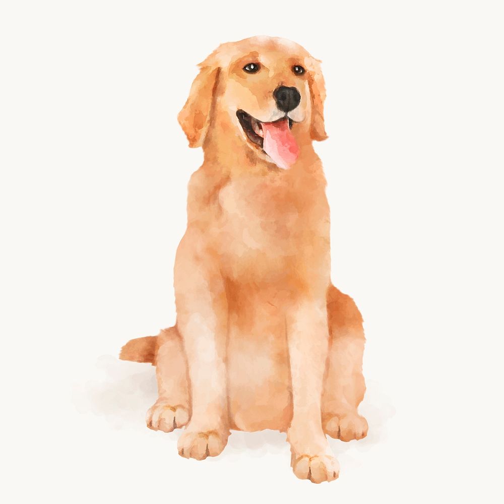 Watercolor dog illustration, Golden Retriever vector