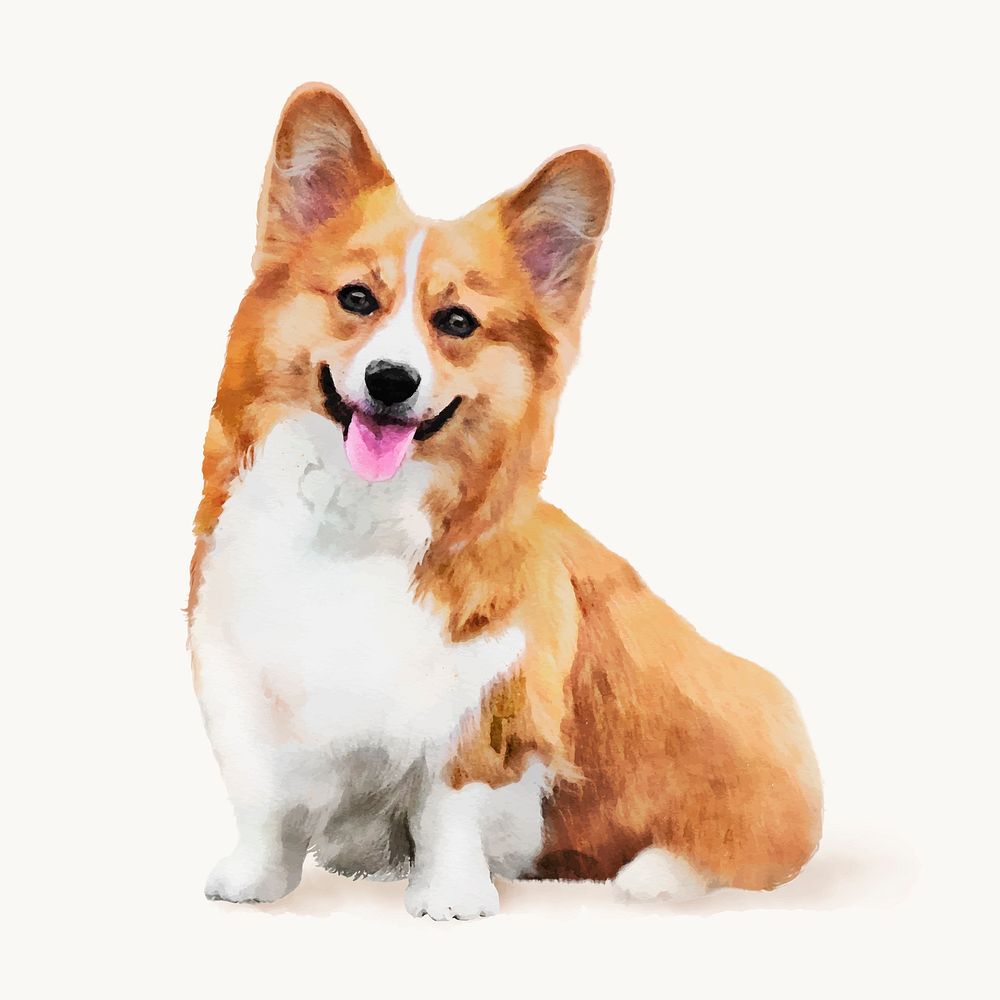 Watercolor Welsh corgi dog illustration, animal design vector