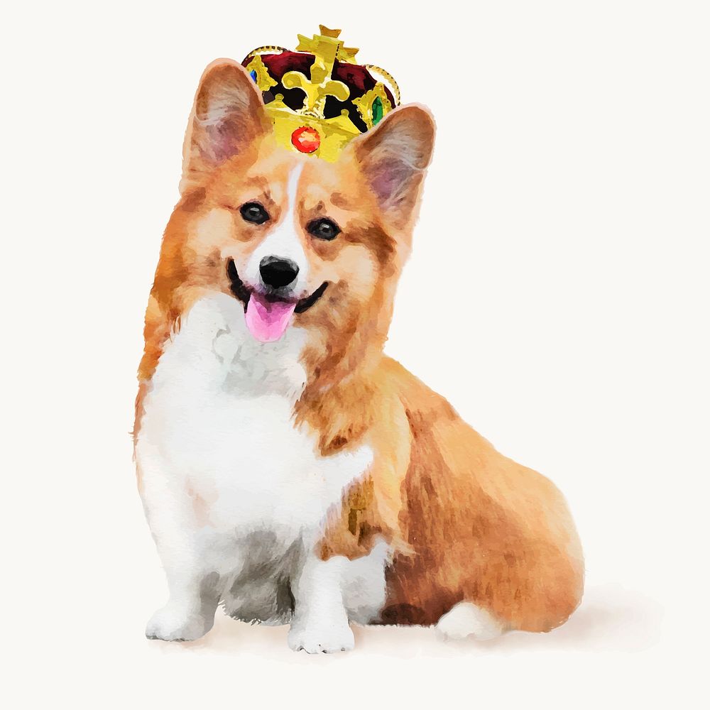 Watercolor king Corgi dog illustration, animal design vector