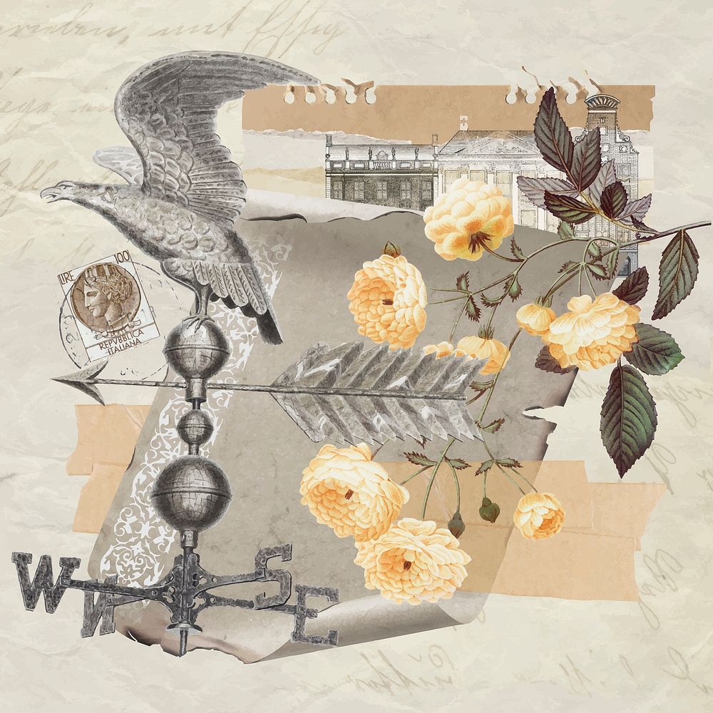 Vintage aesthetic ephemera collage, mixed media background featuring rose and wind vane vector