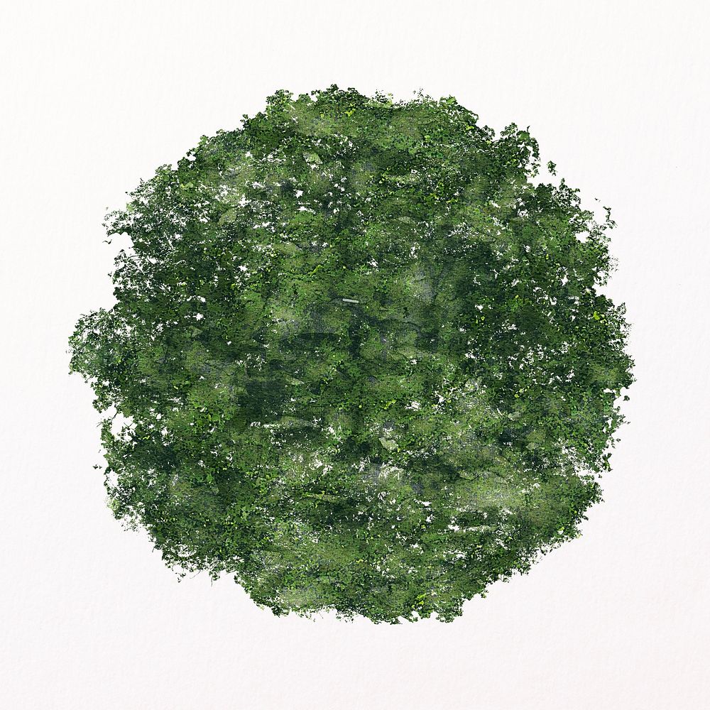 Green tree top view watercolor illustration isolated on white background, nature design
