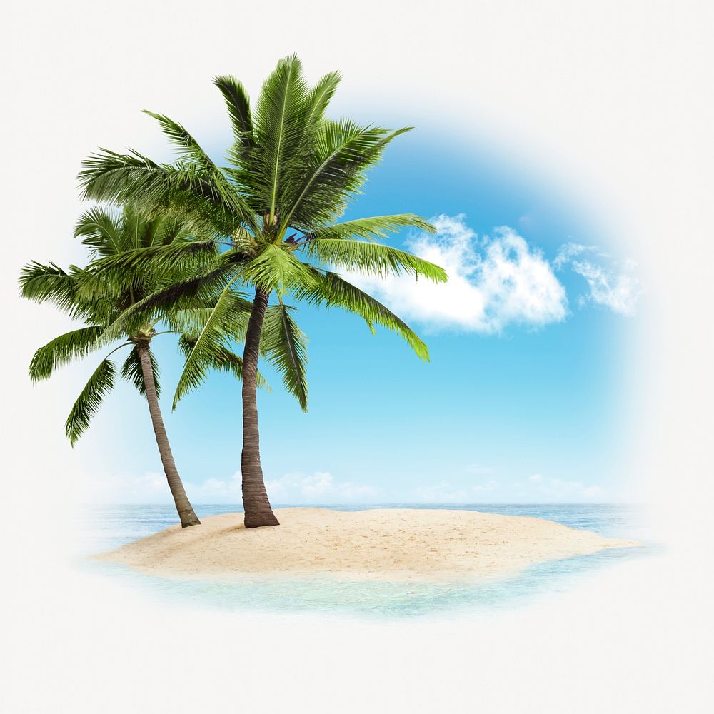 Palm tree on island isolated on white, beach design psd