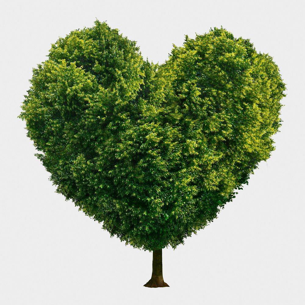 Heart shaped tree isolated on white, nature design psd