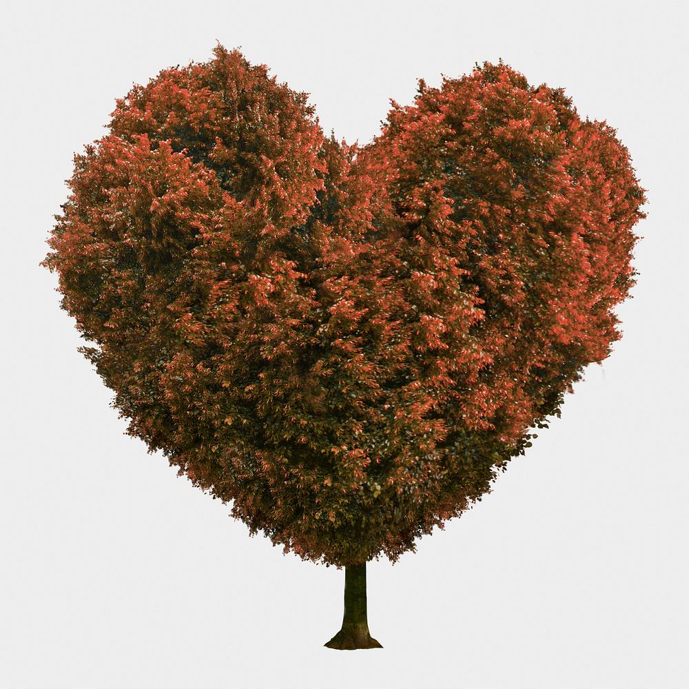 Heart shaped tree isolated on white, autumn nature design psd