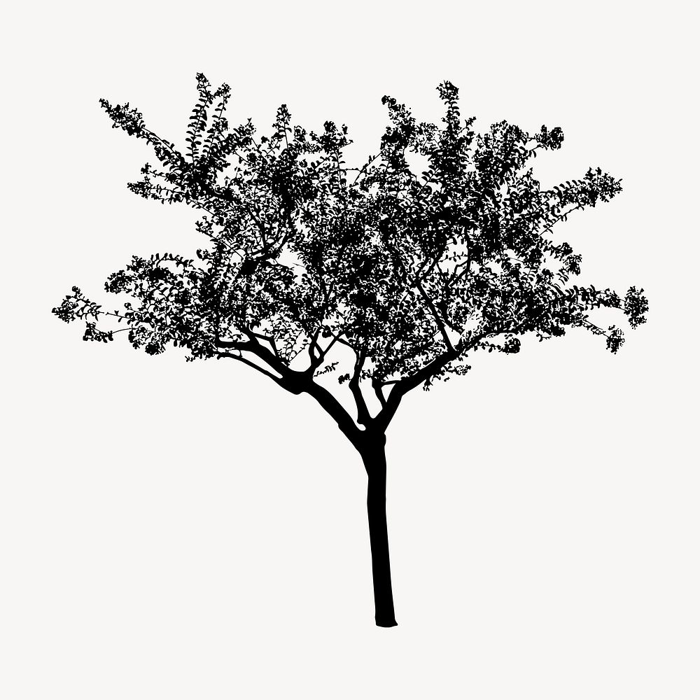Silhouette tree isolated on white, nature design psd