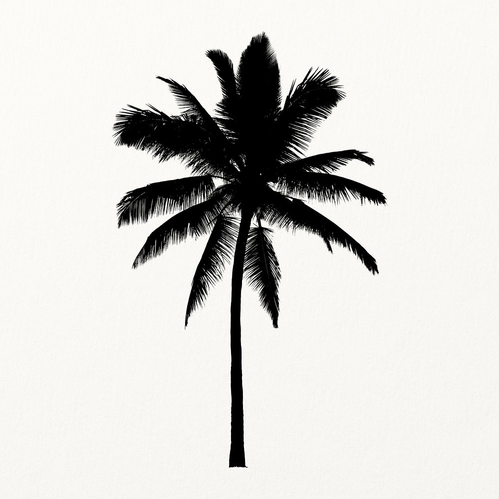 Silhouette palm tree isolated on white, nature design vector