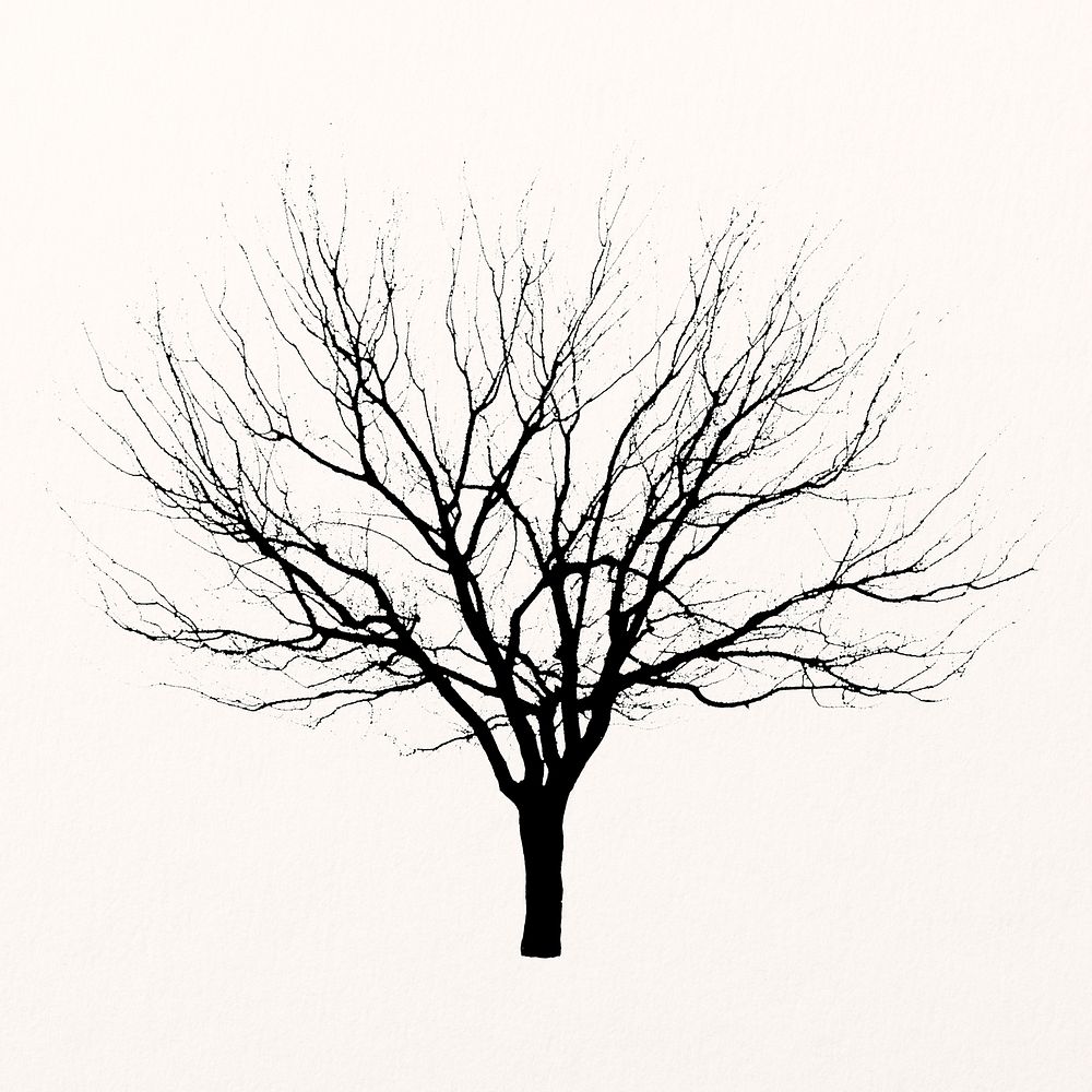 Dead tree isolated on white, nature design vector
