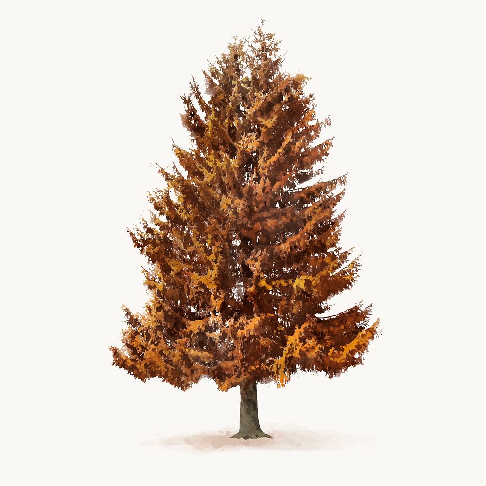 Tree watercolor illustration isolated on white background, autumn nature design vector