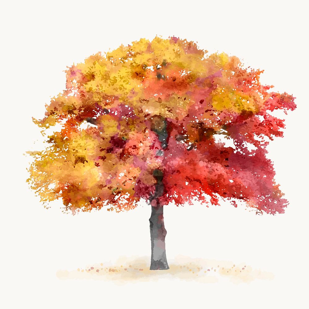 Tree watercolor illustration isolated on white background, autumn nature design vector