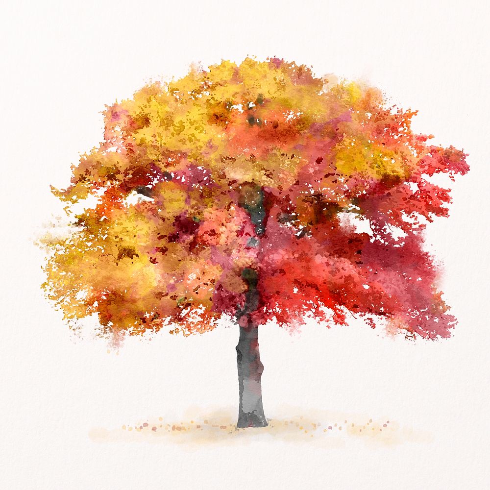 Tree watercolor illustration isolated on white background, autumn nature design psd