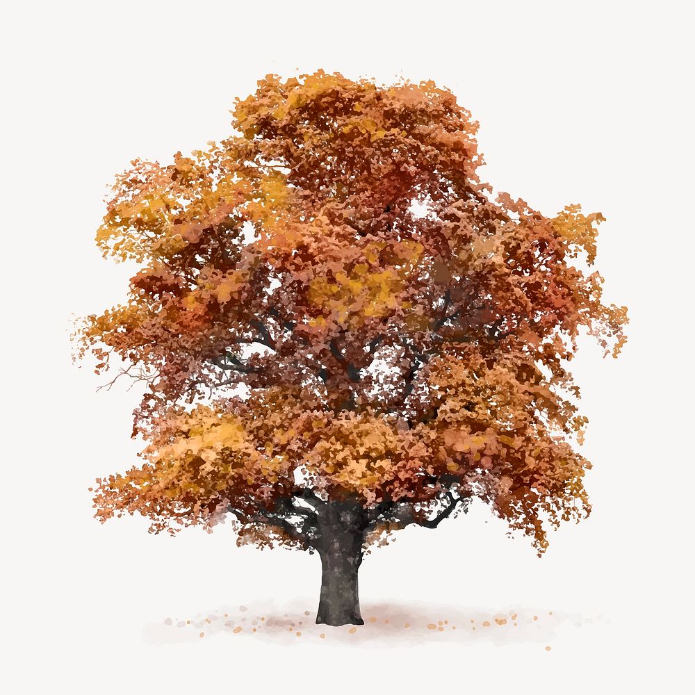 Tree watercolor illustration isolated on white background, autumn nature design vector