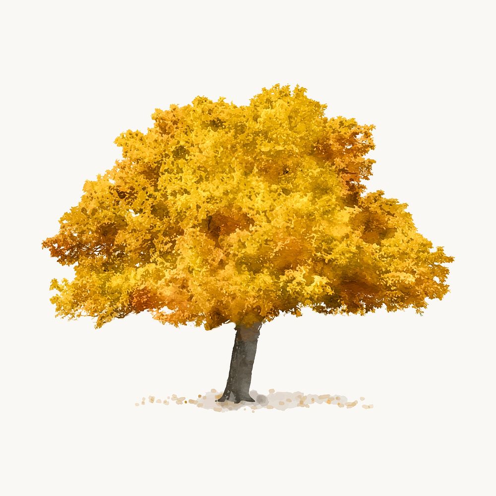 Yellow tree watercolor illustration, isolated on white background, autumn nature design vector