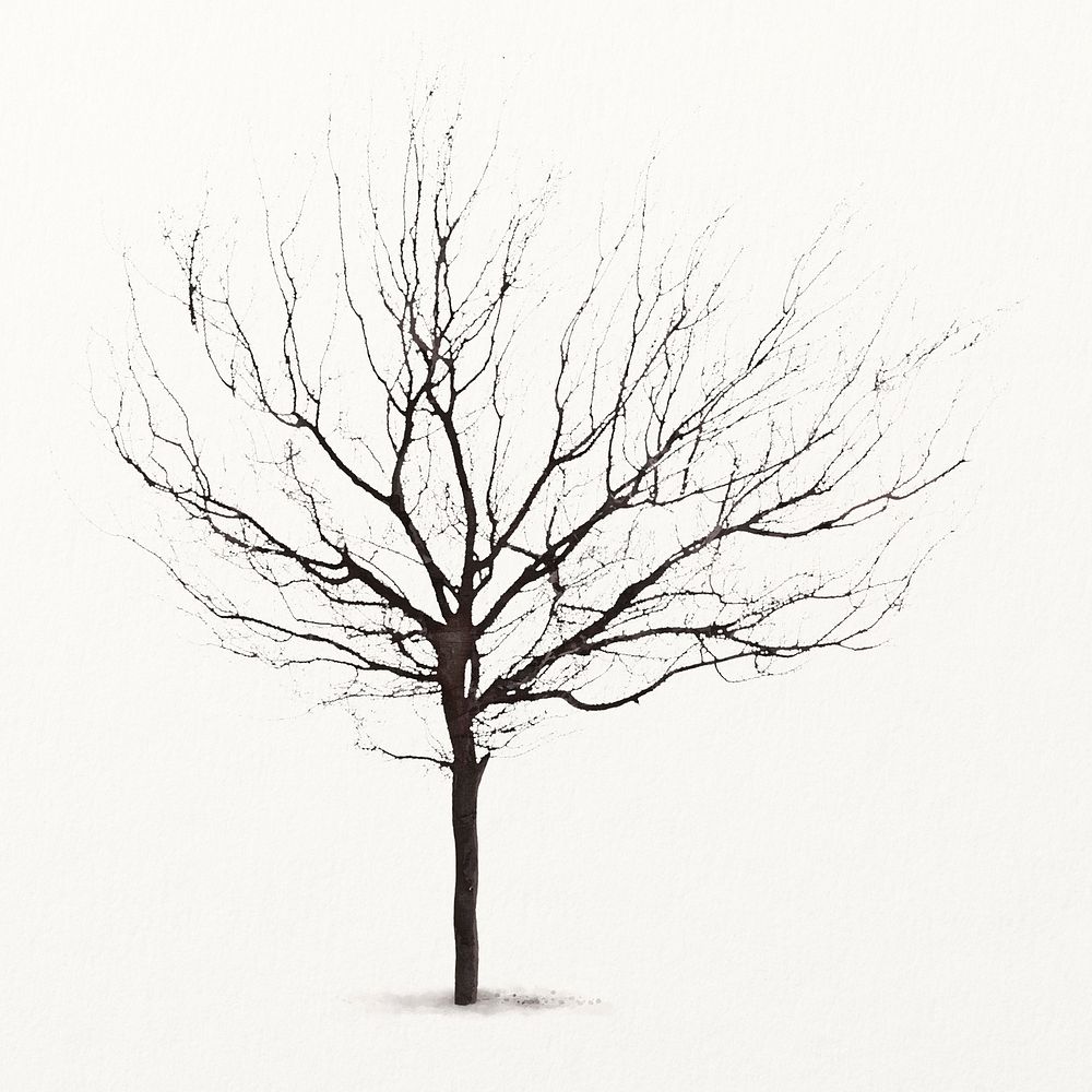 Dead tree watercolor illustration isolated on white background, nature design vector