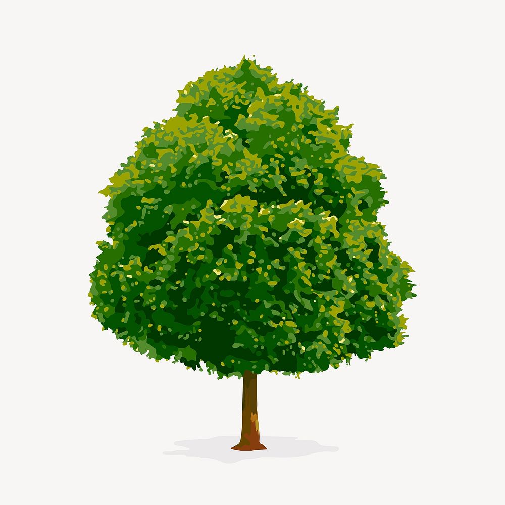 Tree isolated on white, nature design  vector