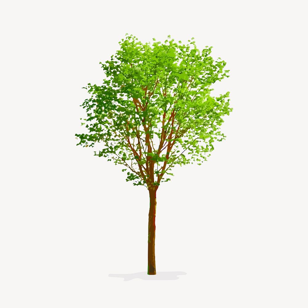 Tree isolated on white, nature design vector
