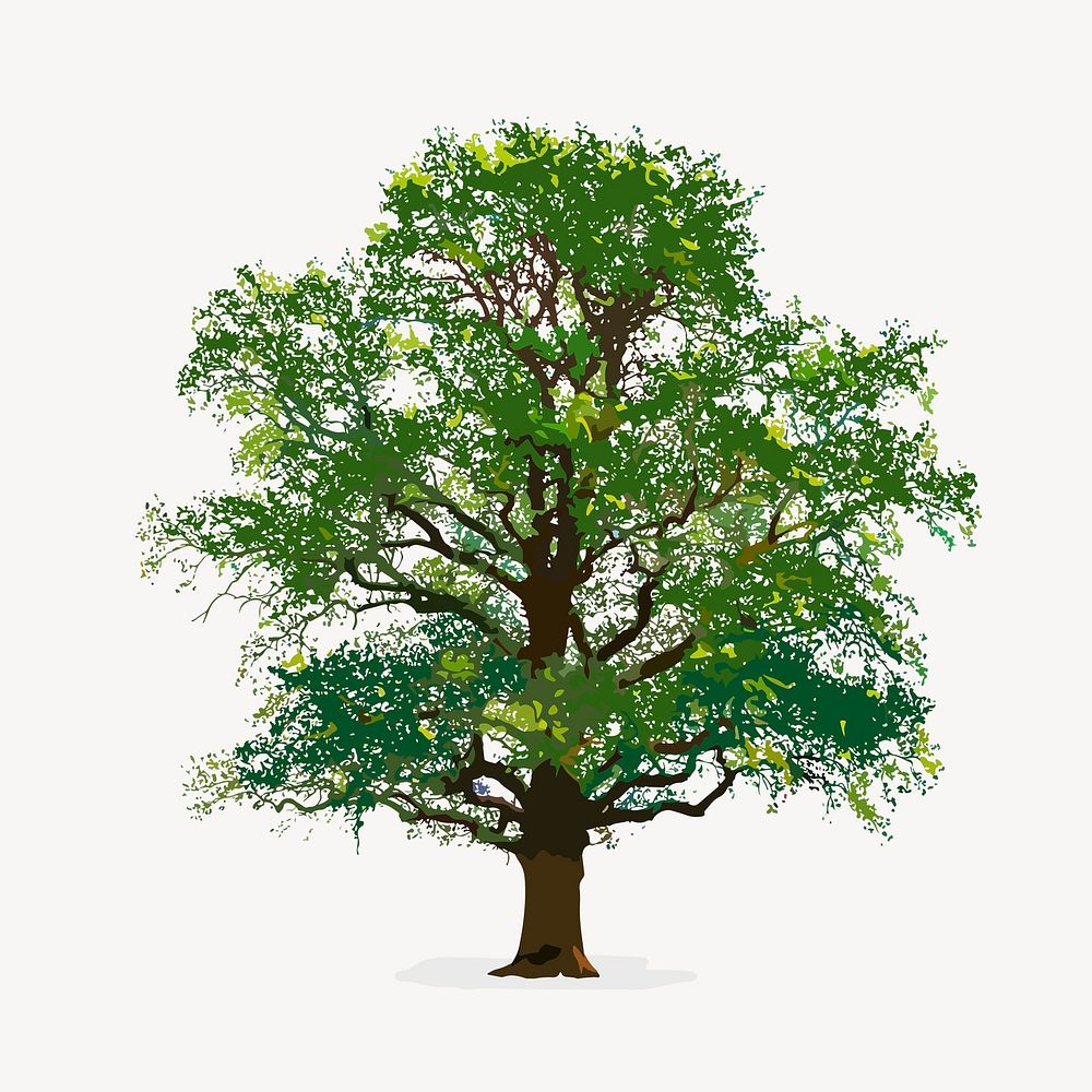 Tree isolated on white, green nature design psd
