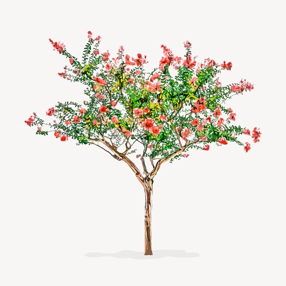 Flowering tree isolated on white, nature design psd