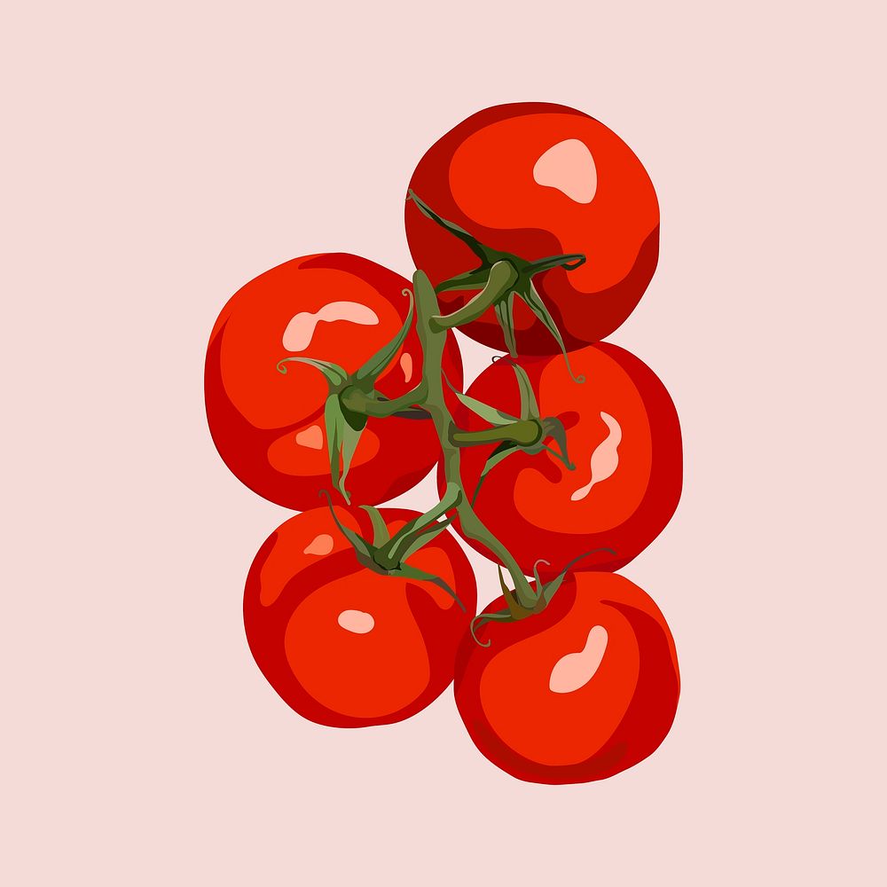 Tomatoes vegetable clipart, realistic illustration design
