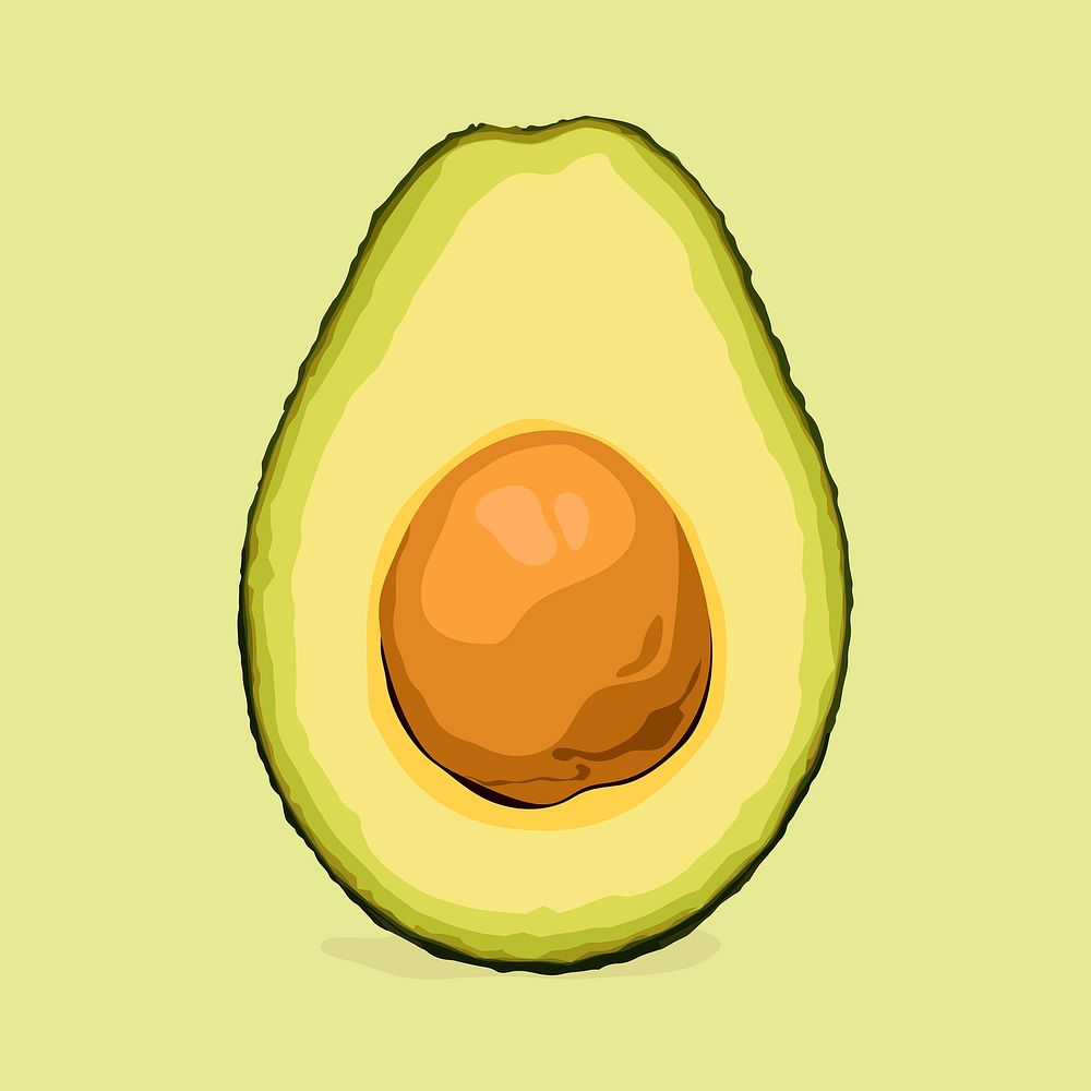 Avocado clipart, fruit illustration design vector