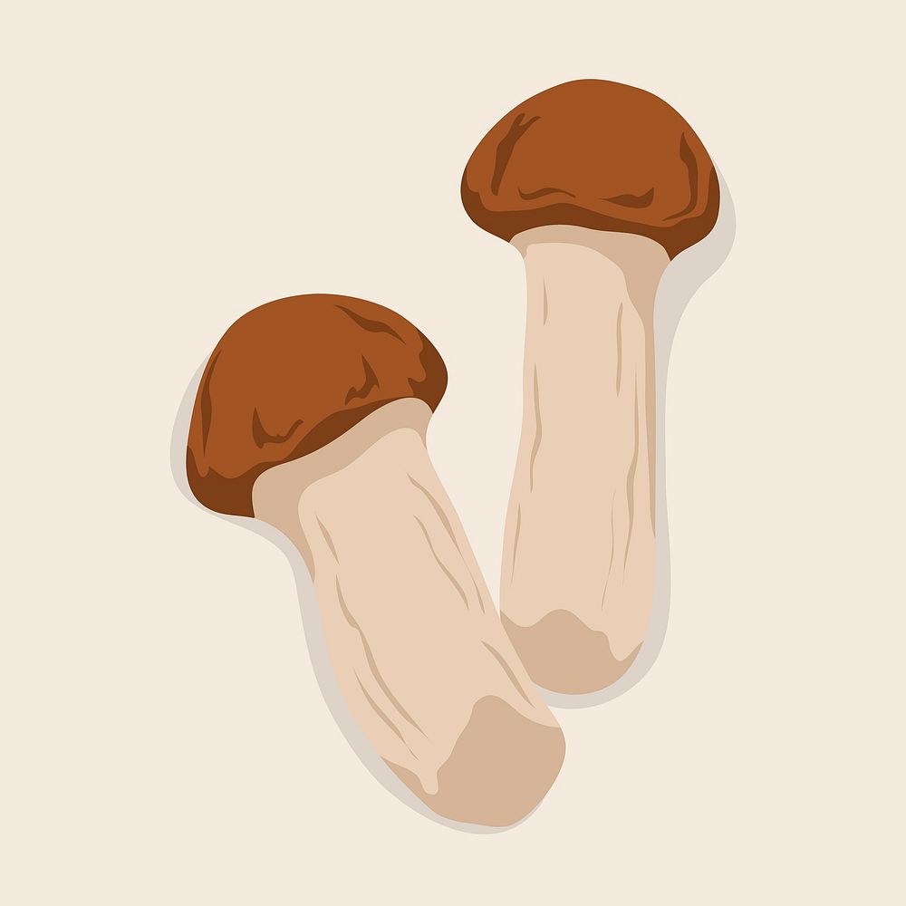 Mushroom vegetable clipart, realistic illustration design