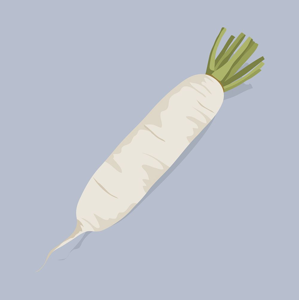 Japanese radish clipart, vegetable illustration design psd