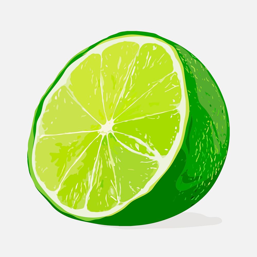Half cut lime clipart, fruit illustration design vector