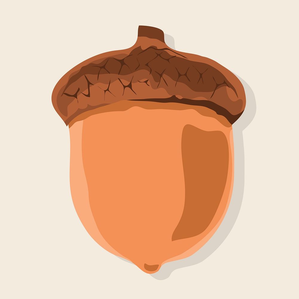 Cute acorn clipart, nut illustration design psd