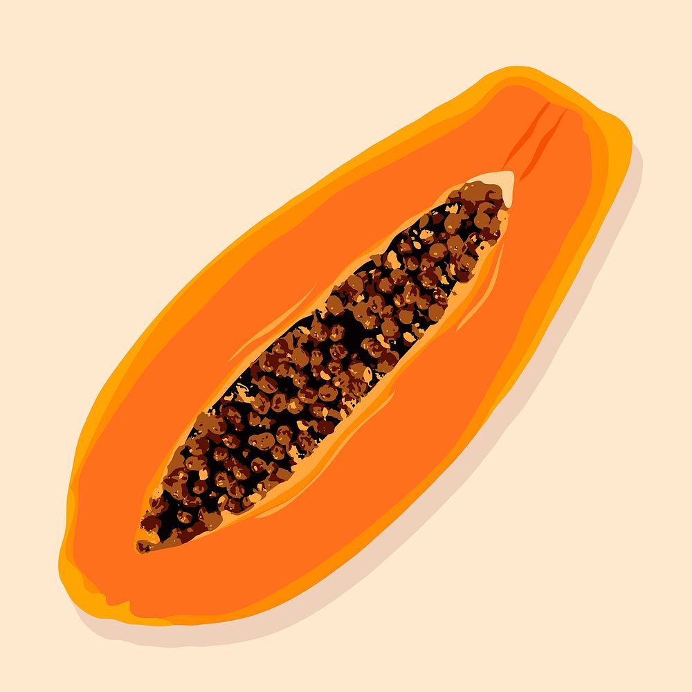 Papaya fruit clipart, realistic illustration design