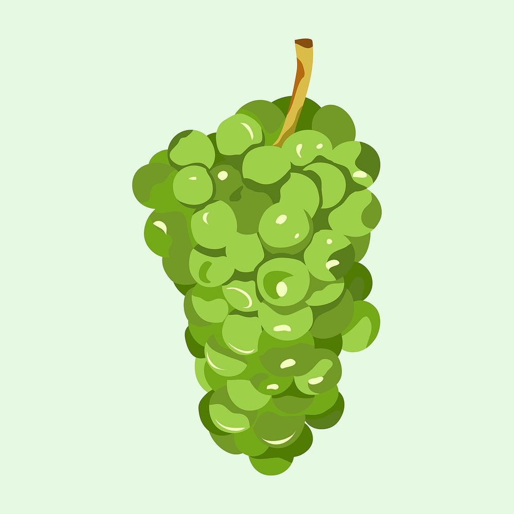 Green grapes fruit clipart, realistic illustration design