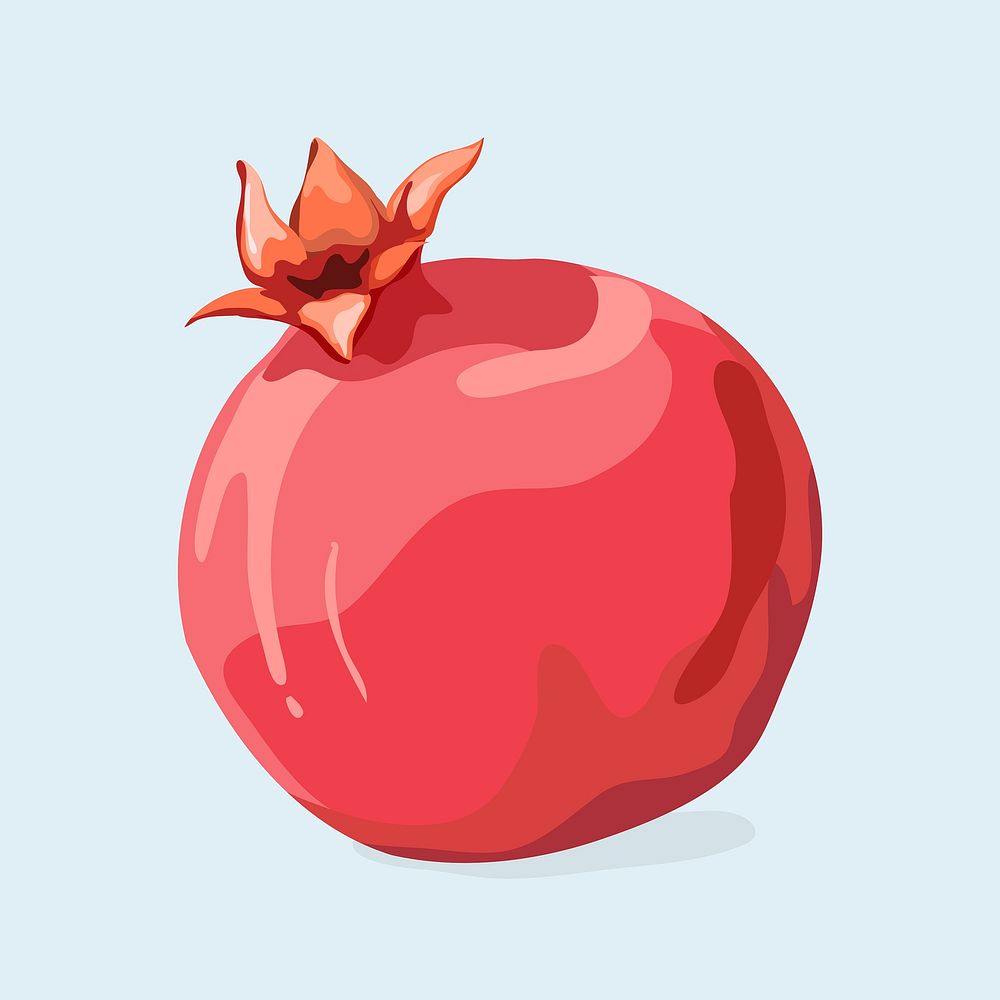 Pomegranate clipart, fruit illustration design vector