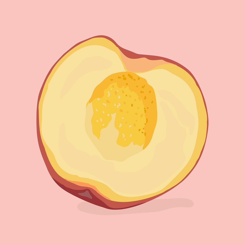 Peach clipart, fruit illustration design vector
