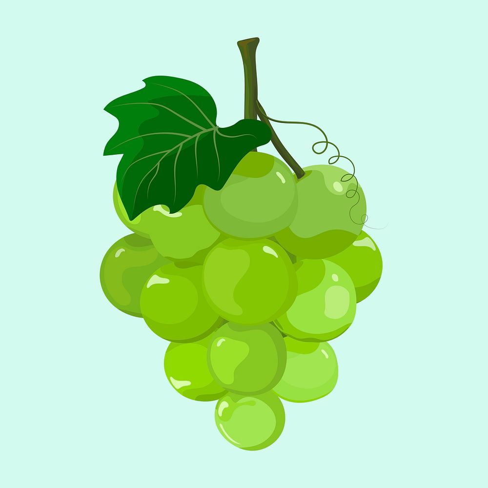 Green grapes clipart, fruit illustration design psd
