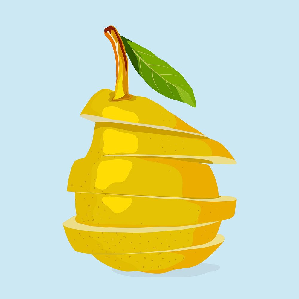 Sliced pear clipart, fruit illustration design vector
