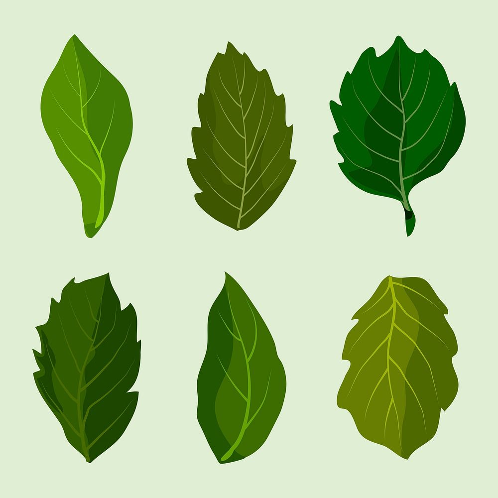 Leaf cliparts, green illustration design set psd