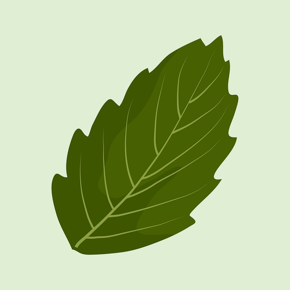 Green leaf clipart, realistic botanical | Free Photo Illustration ...